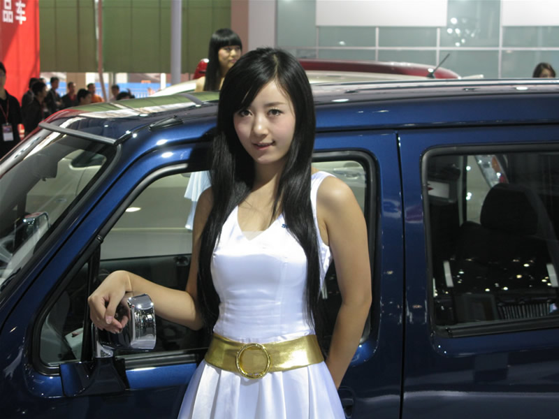 Illustration for article titled The Booth Professionals of the 2008 Guangzhou International Auto Show